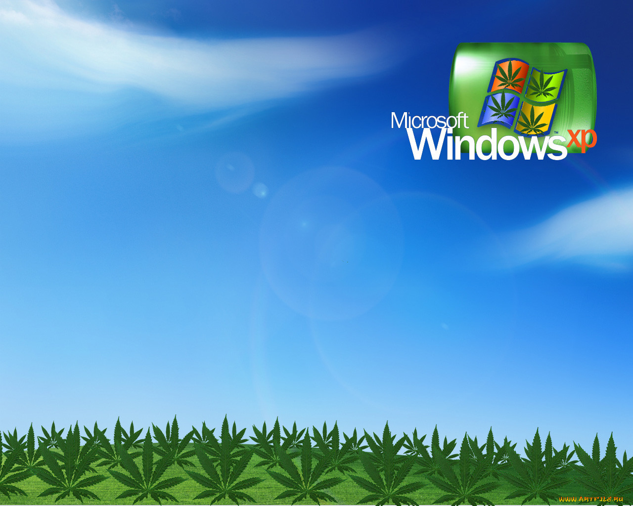 , windows, xp